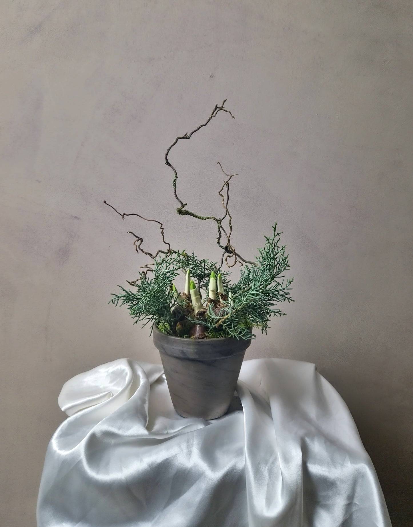 Yuletide Planter